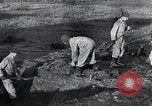 Standbild block Häuser Ostfront europäischen Theater, 1942, aus Sekunde 53 historischem Filmmaterial Videoclip 65675030724