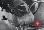 Image of V-1 flying bomb Germany, 1942, second 12 stock footage video 65675030737