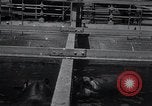 Immagine di Ippopotamo New York United States USA, 1931, secondo 12 filmato di repertorio 65675030768