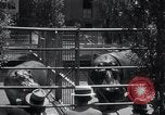 Immagine di Ippopotamo New York United States USA, 1931, secondo 31 filmato di repertorio 65675030768