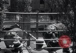 Immagine di Ippopotamo New York United States USA, 1931, secondo 32 filmato di repertorio 65675030768
