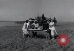 Image biscuits de blé Monument Kansas USA, 1931, de la seconde 13 séquences d'archives historiques vidéo 65675030769