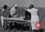 Image biscuits de blé Monument Kansas USA, 1931, de la seconde 19 séquences d'archives historiques vidéo 65675030769