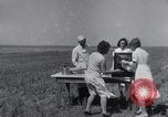 Image biscuits de blé Monument Kansas USA, 1931, de la seconde 32 séquences d'archives historiques vidéo 65675030769