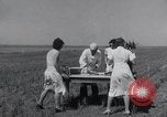 Image biscuits de blé Monument Kansas USA, 1931, de la seconde 35 séquences d'archives historiques vidéo 65675030769