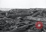 Immagine di Acqua di inondazione Nelscott Oregon United States USA, 1936, secondo 42 filmato di repertorio 65675030775