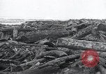 Immagine di Acqua di inondazione Nelscott Oregon United States USA, 1936, secondo 43 filmato di repertorio 65675030775