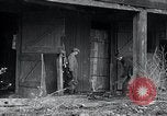 Immagine di Moonshine ancora Frazer Pennsylvania USA, 1936, secondo 12 filmato di repertorio 65675030778