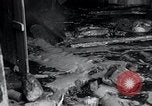 Immagine di Moonshine ancora Frazer Pennsylvania USA, 1936, secondo 20 filmato di repertorio 65675030778