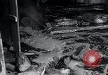 Immagine di Moonshine ancora Frazer Pennsylvania USA, 1936, secondo 21 filmato di repertorio 65675030778
