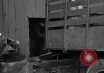 Immagine di Moonshine ancora Frazer Pennsylvania USA, 1936, secondo 31 filmato di repertorio 65675030778