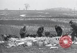 Immagine di Moonshine ancora Frazer Pennsylvania USA, 1936, secondo 36 filmato di repertorio 65675030778