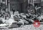 Immagine di Berlino vita quotidiana Berlino Germania, 1932, secondo 57 filmato di repertorio 65675030782