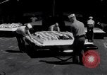 Image of USS Oriskany Subic Bay Philippines, 1966, second 58 stock footage video 65675030806