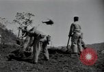 Image of US Army helicopters Korea, 1950, second 3 stock footage video 65675030811
