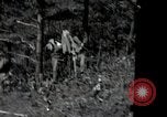 Image of US Army helicopters Korea, 1950, second 12 stock footage video 65675030811