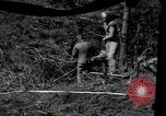 Image of US Army helicopters Korea, 1950, second 14 stock footage video 65675030811