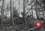 Image of US Army helicopters Korea, 1950, second 23 stock footage video 65675030811