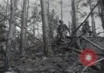 Image of US Army helicopters Korea, 1950, second 25 stock footage video 65675030811
