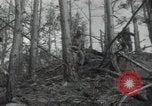 Image of US Army helicopters Korea, 1950, second 26 stock footage video 65675030811