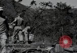 Image of US Army helicopters Korea, 1950, second 60 stock footage video 65675030811