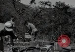Image of US Army helicopters Korea, 1950, second 62 stock footage video 65675030811