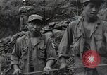 Image of Combat Team Korea, 1950, second 17 stock footage video 65675030814