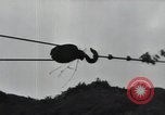 Image of Combat Team Korea, 1950, second 47 stock footage video 65675030814