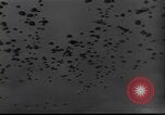 Image of Combat Team Korea, 1950, second 40 stock footage video 65675030815