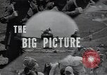 Image of US Army 24th Division Korea, 1950, second 42 stock footage video 65675030816