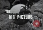 Image of US Army 24th Division Korea, 1950, second 46 stock footage video 65675030816