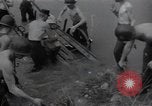 Image of 24th infantry division South Korea, 1950, second 3 stock footage video 65675030821