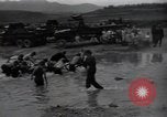 Image of 24th infantry division South Korea, 1950, second 8 stock footage video 65675030821