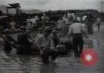 Image of 24th infantry division South Korea, 1950, second 10 stock footage video 65675030821