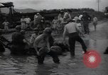 Image of 24th infantry division South Korea, 1950, second 11 stock footage video 65675030821