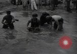 Image of 24th infantry division South Korea, 1950, second 19 stock footage video 65675030821