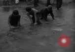 Image of 24th infantry division South Korea, 1950, second 22 stock footage video 65675030821