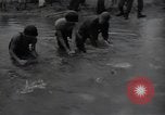 Image of 24th infantry division South Korea, 1950, second 23 stock footage video 65675030821