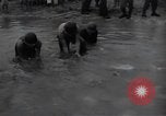 Image of 24th infantry division South Korea, 1950, second 24 stock footage video 65675030821