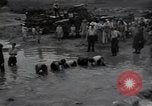 Image of 24th infantry division South Korea, 1950, second 29 stock footage video 65675030821