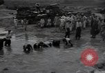 Image of 24th infantry division South Korea, 1950, second 31 stock footage video 65675030821