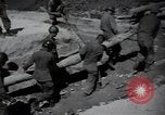 Image of 24th infantry division South Korea, 1950, second 56 stock footage video 65675030821