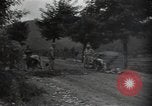 Image frais TNT en Corée du Sud, 1950, de la seconde 1 séquences d'archives historiques vidéo 65675030822