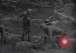 Image frais TNT en Corée du Sud, 1950, de la seconde 36 séquences d'archives historiques vidéo 65675030822