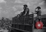 Image of Korean War Taegu Korea, 1950, second 8 stock footage video 65675030827