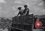 Image of Korean War Taegu Korea, 1950, second 10 stock footage video 65675030827
