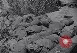 Image of Korean War Taegu Korea, 1950, second 11 stock footage video 65675030827