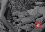 Image of Korean War Taegu Korea, 1950, second 16 stock footage video 65675030827