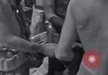 Image of Korean War Taegu Korea, 1950, second 60 stock footage video 65675030827