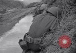 Immagine di Guerra di Corea Chilgok Corea del Sud, 1950, secondo 8 filmato di repertorio 65675030833